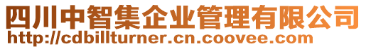 四川中智集企業(yè)管理有限公司