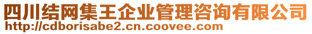 四川結網(wǎng)集王企業(yè)管理咨詢有限公司