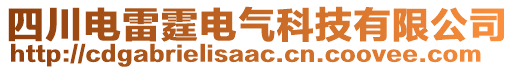四川電雷霆電氣科技有限公司