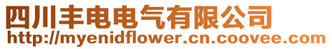 四川豐電電氣有限公司