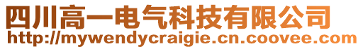 四川高一電氣科技有限公司