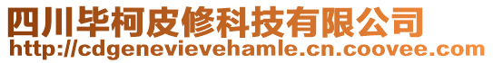 四川畢柯皮修科技有限公司