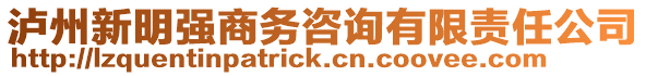 瀘州新明強(qiáng)商務(wù)咨詢(xún)有限責(zé)任公司