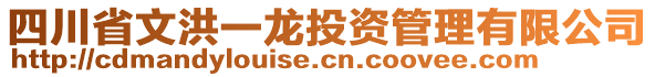 四川省文洪一龍投資管理有限公司