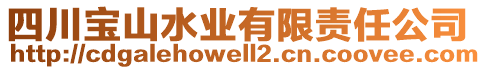 四川寶山水業(yè)有限責任公司