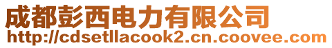 成都彭西電力有限公司