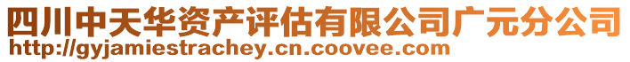 四川中天華資產(chǎn)評(píng)估有限公司廣元分公司