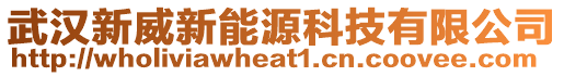 武漢新威新能源科技有限公司