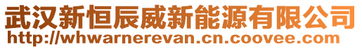 武漢新恒辰威新能源有限公司