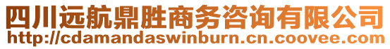 四川遠航鼎勝商務(wù)咨詢有限公司