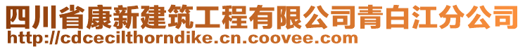 四川省康新建筑工程有限公司青白江分公司