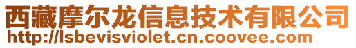 西藏摩爾龍信息技術(shù)有限公司