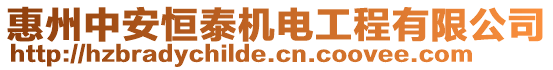 惠州中安恒泰機(jī)電工程有限公司