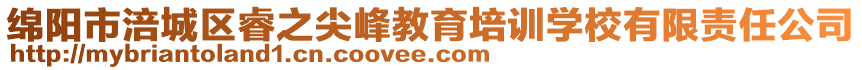 綿陽市涪城區(qū)睿之尖峰教育培訓(xùn)學(xué)校有限責(zé)任公司