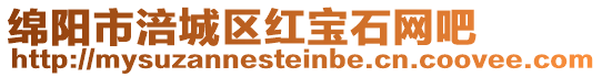 綿陽市涪城區紅寶石網吧