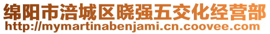 綿陽(yáng)市涪城區(qū)曉強(qiáng)五交化經(jīng)營(yíng)部