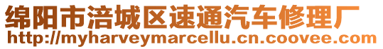 綿陽市涪城區(qū)速通汽車修理廠