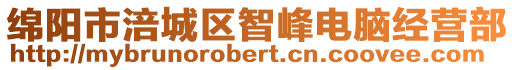 綿陽市涪城區智峰電腦經營部