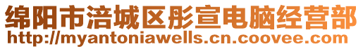 綿陽市涪城區彤宣電腦經營部