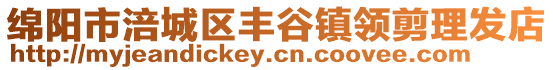 綿陽市涪城區豐谷鎮領剪理發店