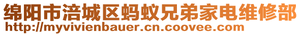 綿陽市涪城區(qū)螞蟻兄弟家電維修部