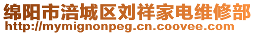 綿陽市涪城區(qū)劉祥家電維修部