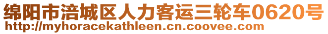 綿陽市涪城區(qū)人力客運三輪車0620號