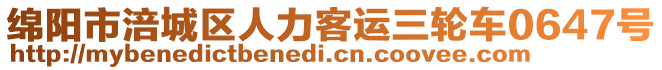 綿陽市涪城區(qū)人力客運三輪車0647號