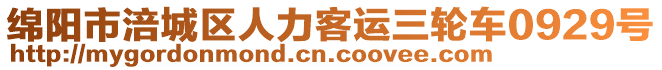 綿陽市涪城區(qū)人力客運(yùn)三輪車0929號(hào)