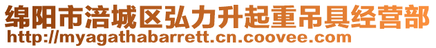 綿陽市涪城區弘力升起重吊具經營部