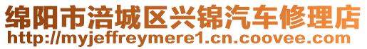 綿陽(yáng)市涪城區(qū)興錦汽車(chē)修理店