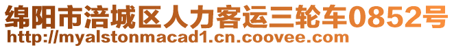 綿陽市涪城區(qū)人力客運三輪車0852號