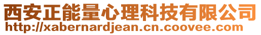 西安正能量心理科技有限公司