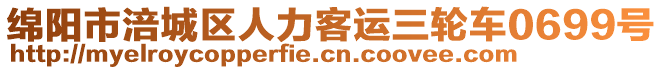 綿陽市涪城區人力客運三輪車0699號