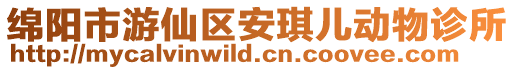 綿陽市游仙區安琪兒動物診所