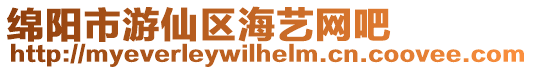 綿陽市游仙區海藝網吧