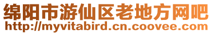 綿陽市游仙區老地方網吧