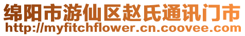 綿陽市游仙區趙氏通訊門市