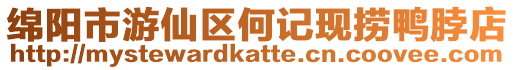 綿陽市游仙區何記現撈鴨脖店