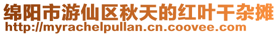 綿陽市游仙區秋天的紅葉干雜攤