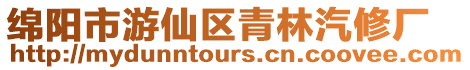 綿陽市游仙區青林汽修廠