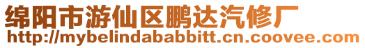 綿陽市游仙區鵬達汽修廠
