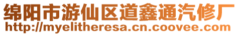綿陽市游仙區(qū)道鑫通汽修廠