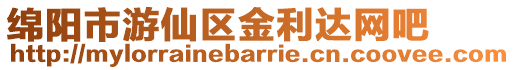 綿陽市游仙區金利達網吧