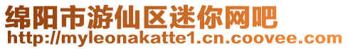 綿陽市游仙區(qū)迷你網(wǎng)吧