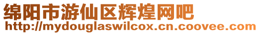綿陽市游仙區輝煌網吧