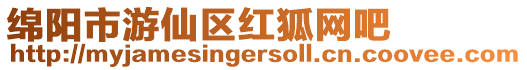 綿陽市游仙區(qū)紅狐網(wǎng)吧
