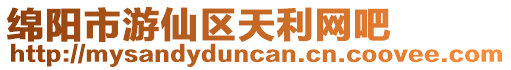 綿陽市游仙區天利網吧