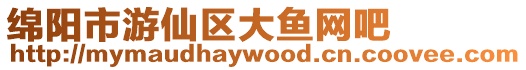 綿陽市游仙區(qū)大魚網(wǎng)吧