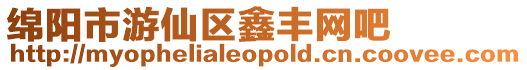 綿陽市游仙區鑫豐網吧